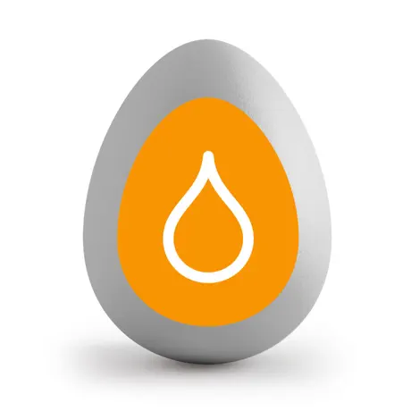 App image