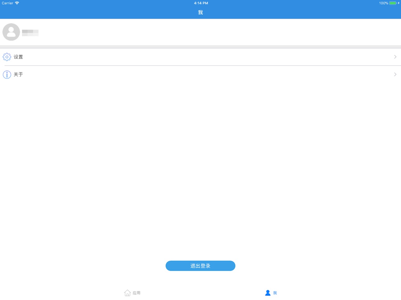iPad screenshot