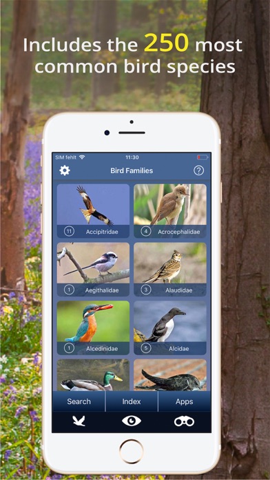 Screenshot #3 pour Bird Id - British Isles birds