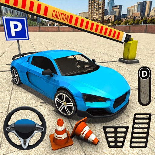 Car Parking Driver Test Icon