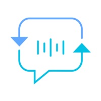 Voice Translator  logo