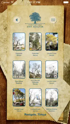 Game screenshot Anıt Ağaçlar - Avrupa apk