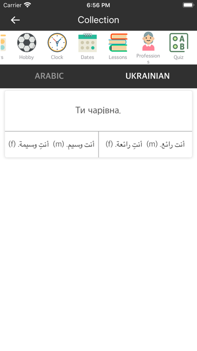 Screenshot #3 pour Arabic Ukrainian Dictionary