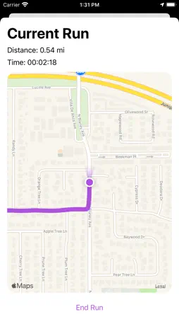 Run Mapper screenshot 2