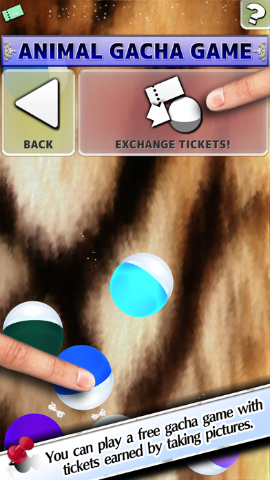 Fluffy Camera iPhone screenshot 5 - Photo & Video app