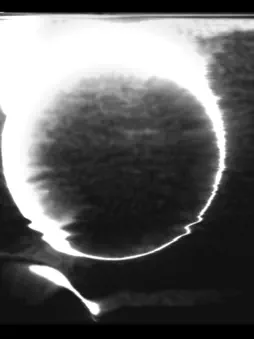 DeadWave screenshot 17