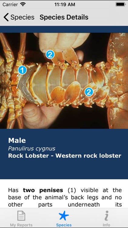 FishtagWA screenshot-3