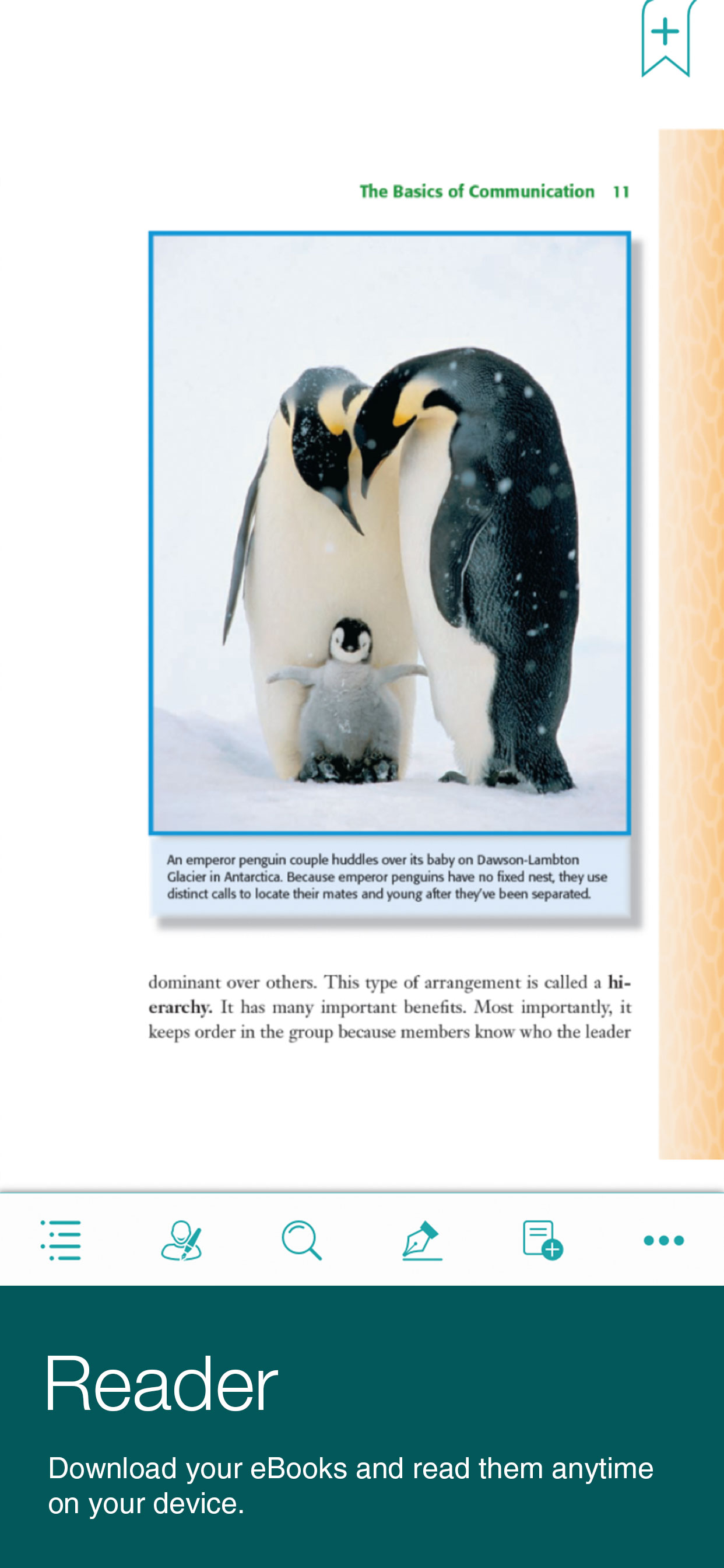 Infobase eBooks screenshot 3