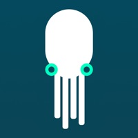 SQUID app funktioniert nicht? Probleme und Störung