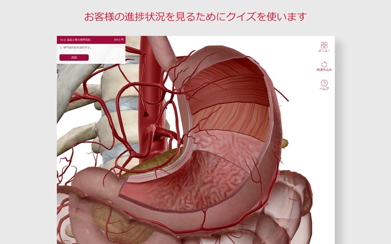 解剖学的構造と生理学スクリーンショット