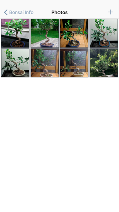 Bonsai Album screenshot 4