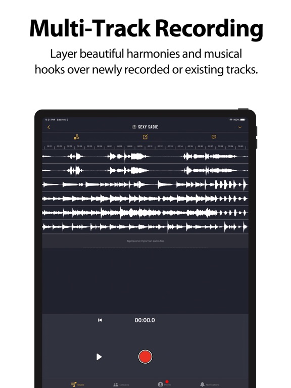 Screenshot #4 pour audiobridge