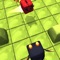 Catch Dragon is a very addictive casual game