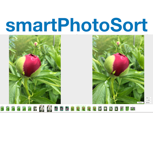 smartPhotoSort icon