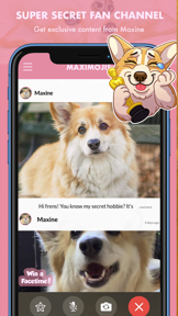 MaxiMojis - Corgi dog stickers screenshot