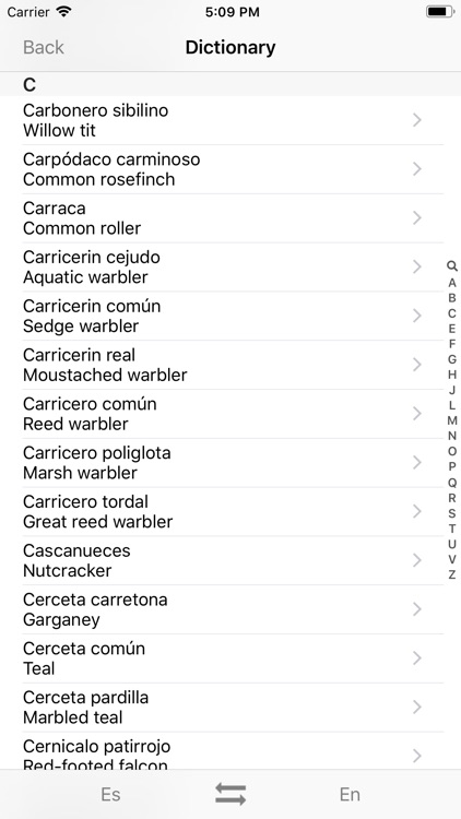 European Birds Names