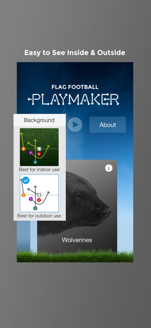 Flag Football Playbook App for iPad & iPhone with Play Wristband System - Flag  Football Playmaker