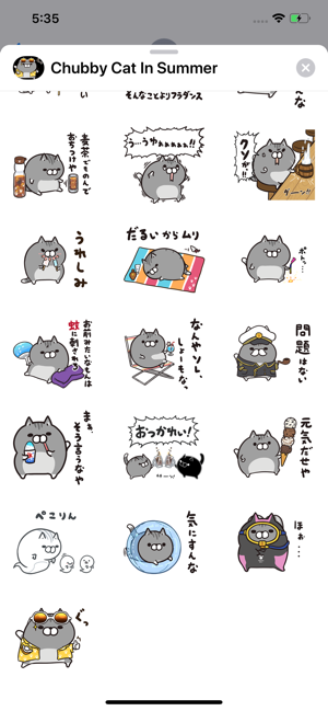 Chubby Cat in Summer(圖3)-速報App