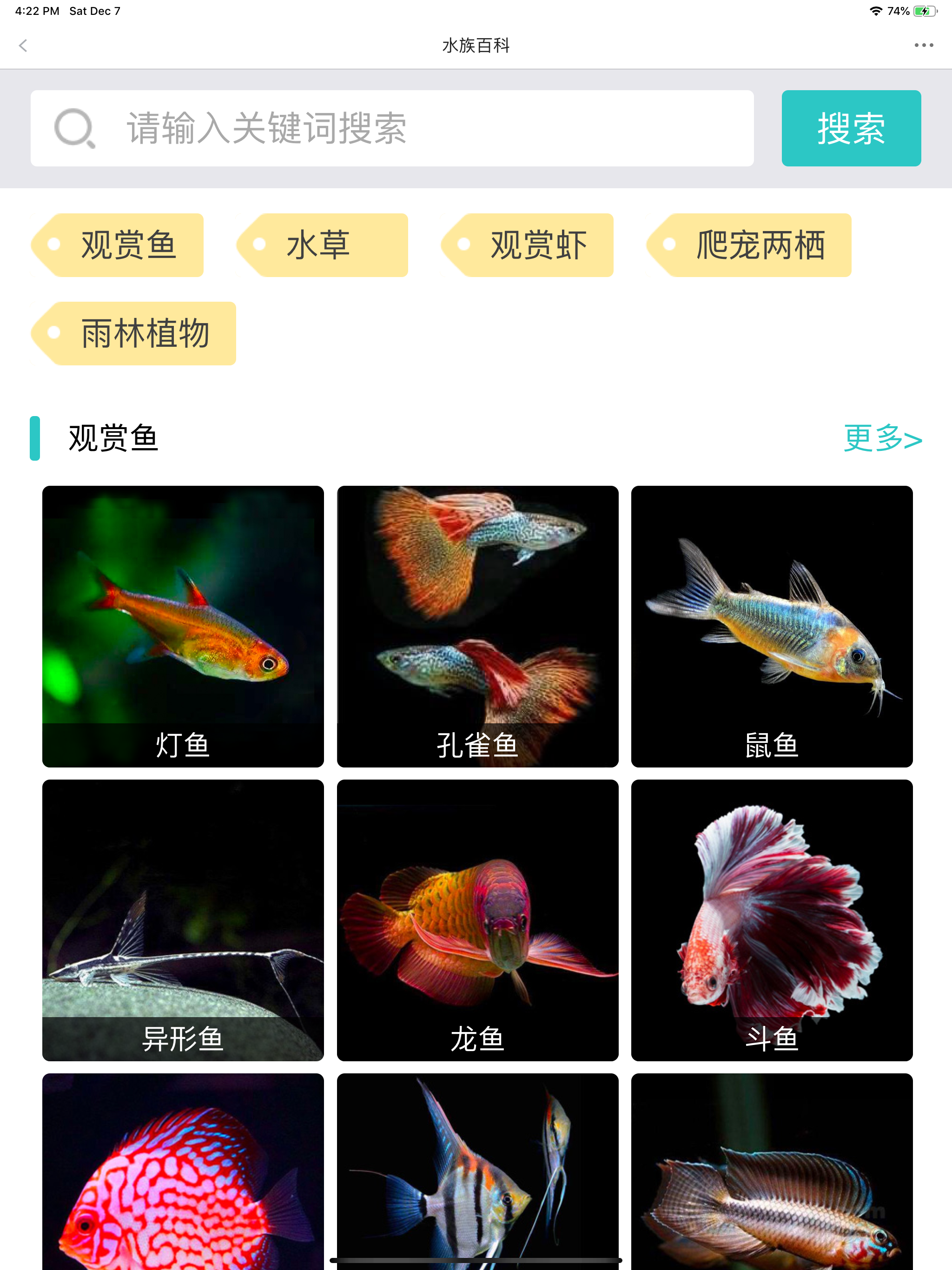 泡泡水族