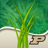 Purdue Turf Doctor - Purdue University