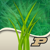 Purdue Turf Doctor - Purdue University Cover Art