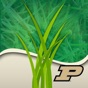 Purdue Turf Doctor app download