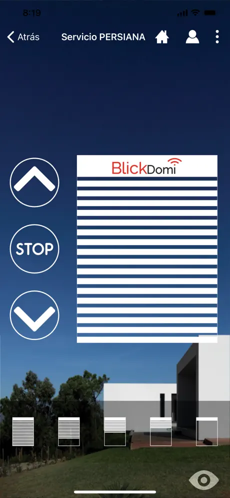 Blickdomi