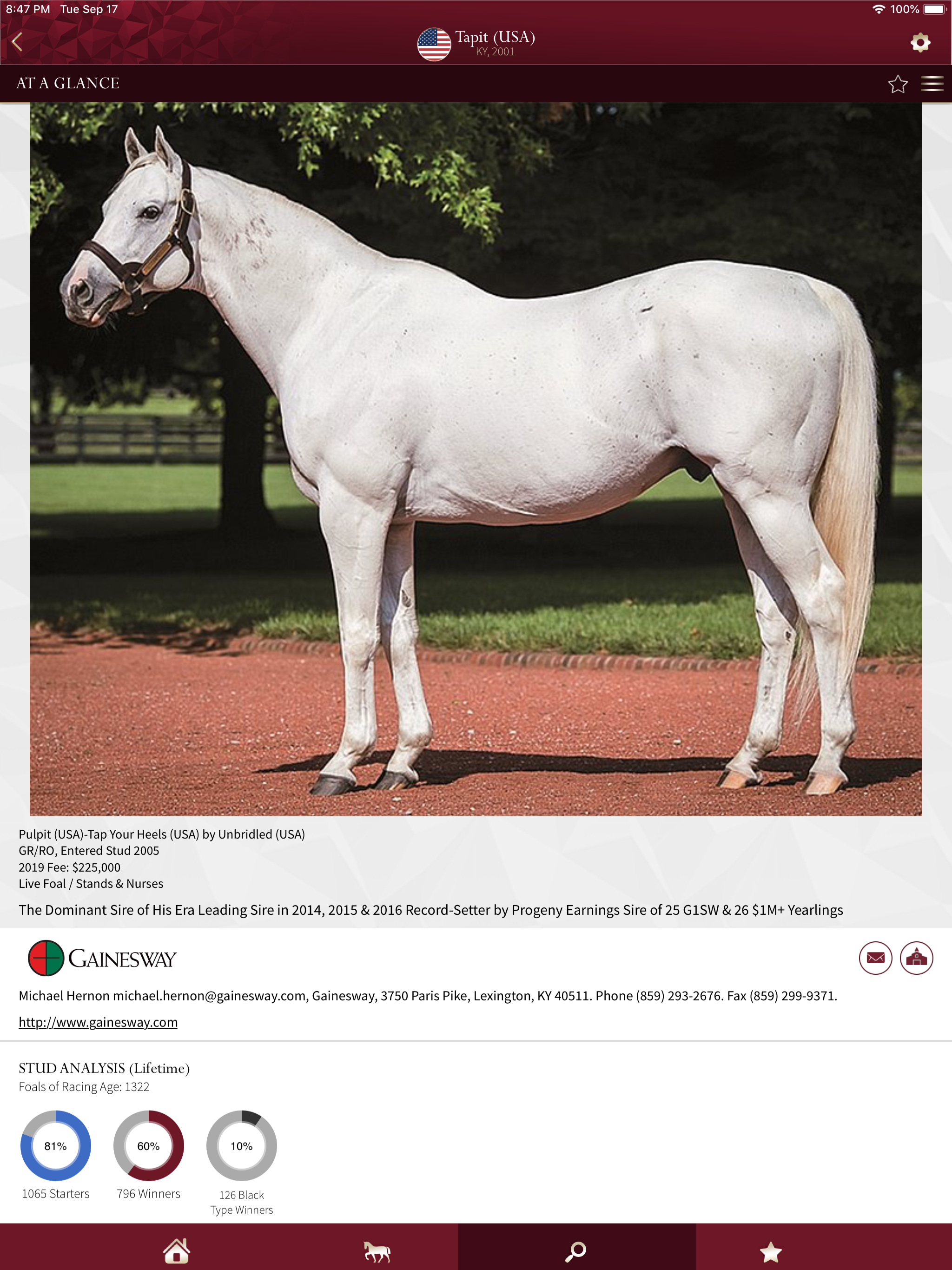 Global Stallions