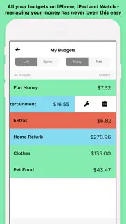 pennies – budget and expenses iphone screenshot 2