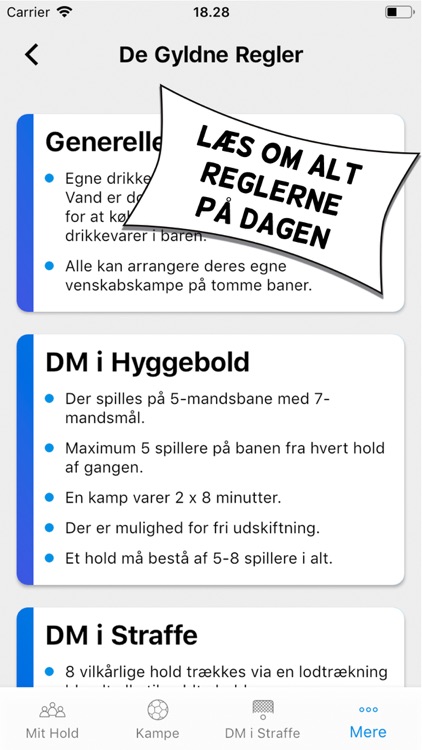 DM i Hyggebold screenshot-6