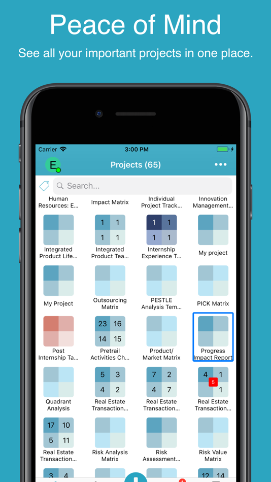 #1. Priority Matrix (macOS) 由: Appfluence Inc