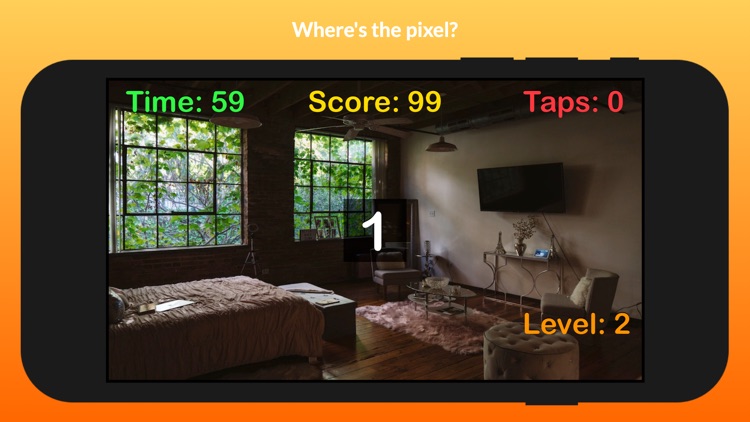 Find the Pixel - Found it screenshot-3
