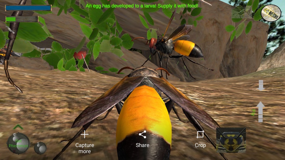 #5. Wasp Nest Simulation Full (iOS) Podle: mnhksdevelopment