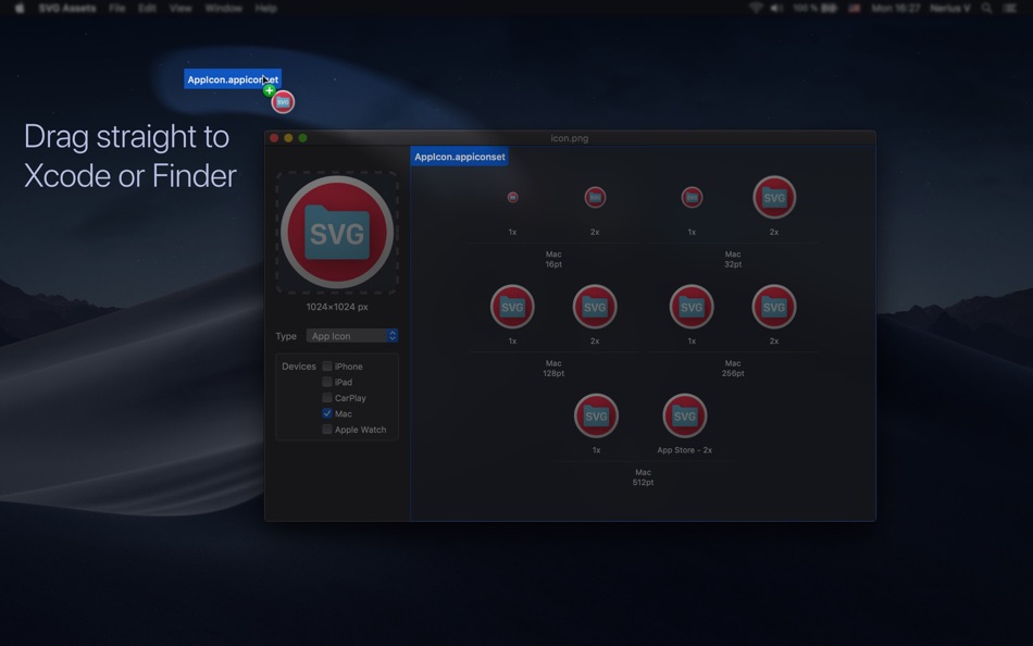 #4. SVG Assets – Icon Exporter (macOS) Podle: Nerius Vaskevicius