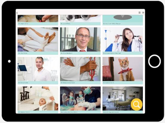 Screenshot #5 pour Budweis Guide for Expats