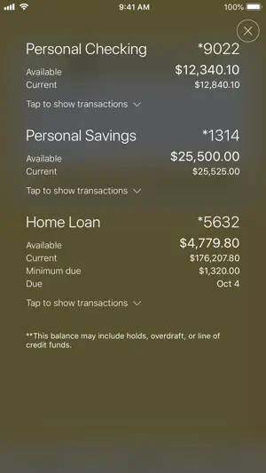 SJN Bank of Kansas screenshot 1