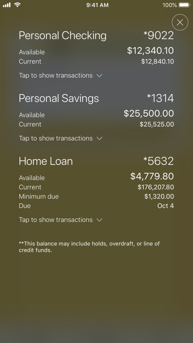 SJN Bank of Kansas Screenshot