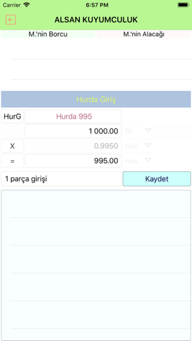 Gold Muhasebe screenshot 3