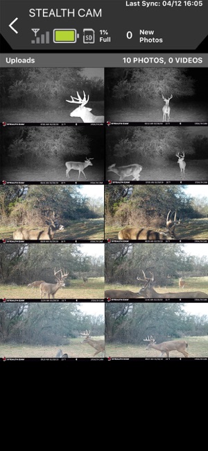Stealth Cam REMOTE(圖5)-速報App