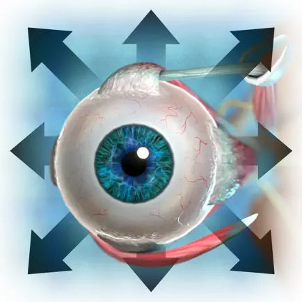 The Extraocular Muscles Cheats