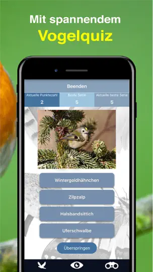 Screenshot von Vogel Id Gartenvögel Bestimmen auf dem iPhone 7