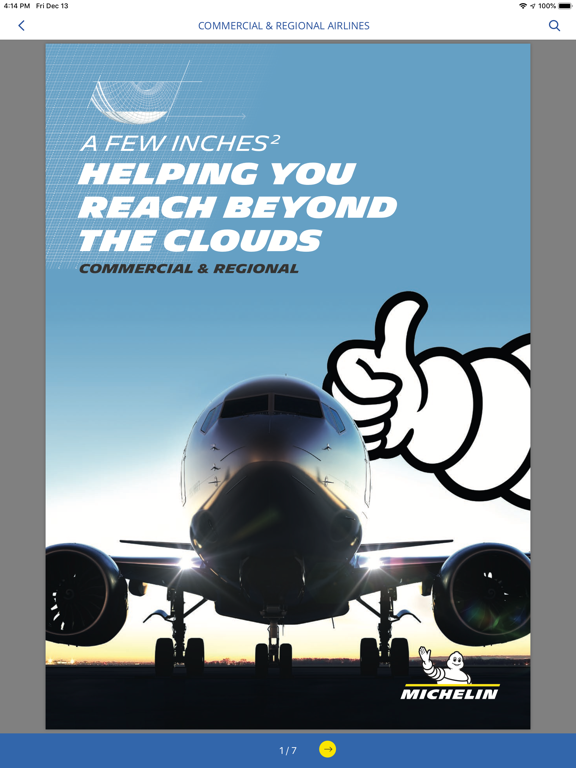 Michelin Aircraft Tire iPad screenshot 4 - Utilities app