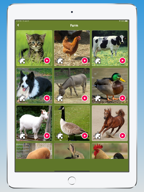 Animal Sounds, Animal Language iPad screenshot 1 - Education app