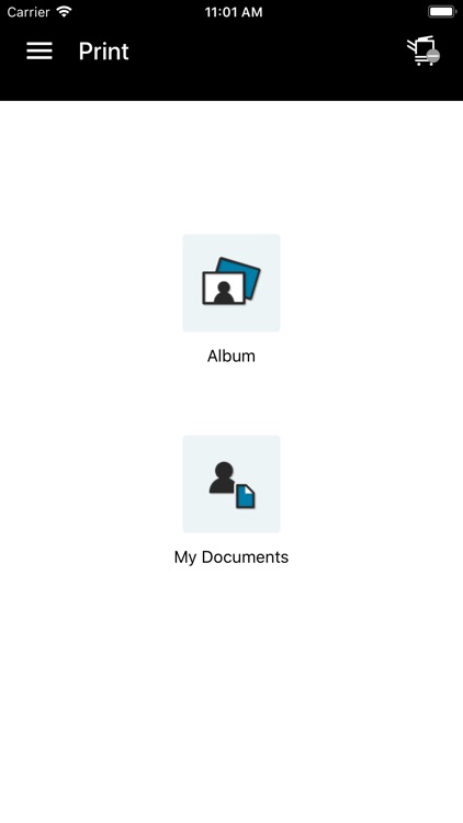 MobilePrint bizhub205/225/245i