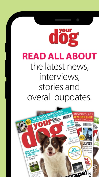 Your Dog screenshot-4