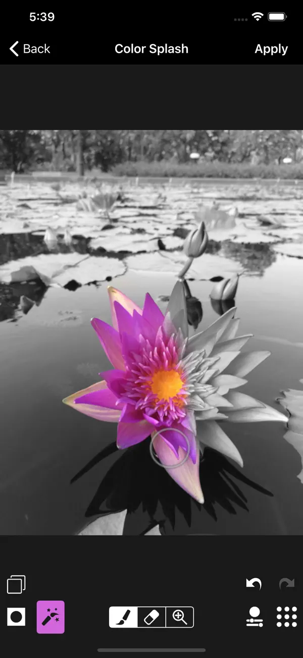 ACDSee Pro  老牌专业影像大师应用截图