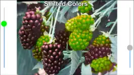 Game screenshot Color Mate - Colour blind help apk