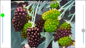 Color Mate - Colour blind help screenshot