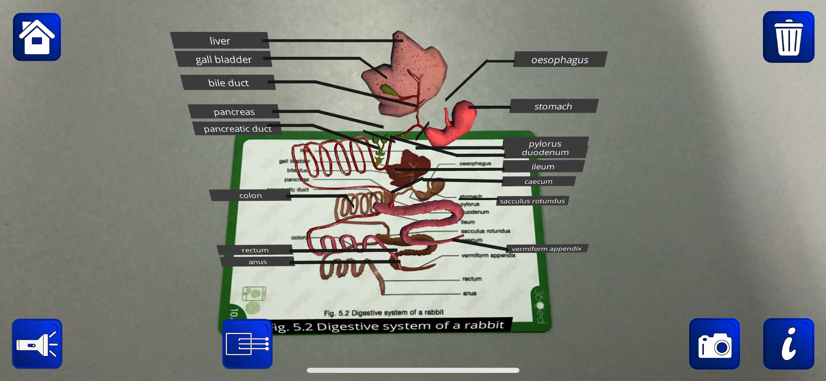 Dat Thin Pone Biology AR screenshot 4
