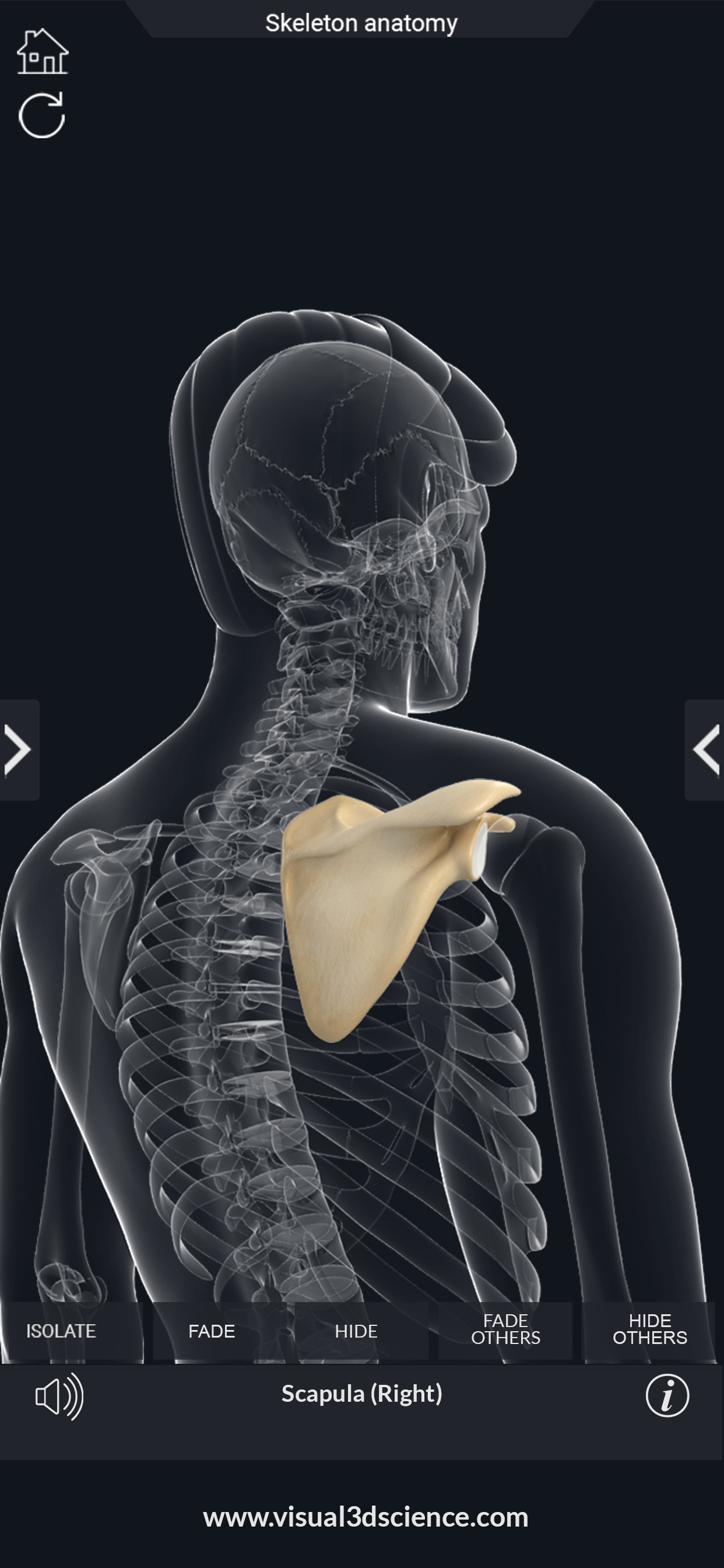 AR Skeleton Anatomy